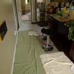 House Of Mint Condition Horrors Kitchen