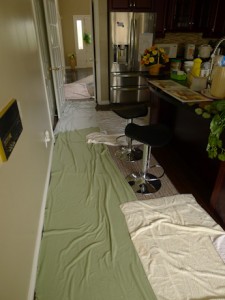 House Of Mint Condition Horrors Kitchen