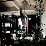 Artists' Loft Acrobatics