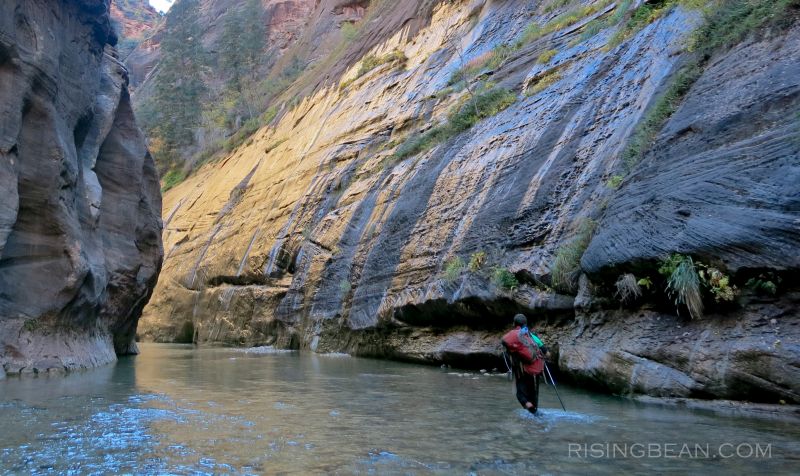 Zion Narrrows Hike