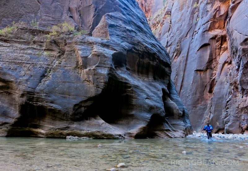 Zion Narrrows Hike