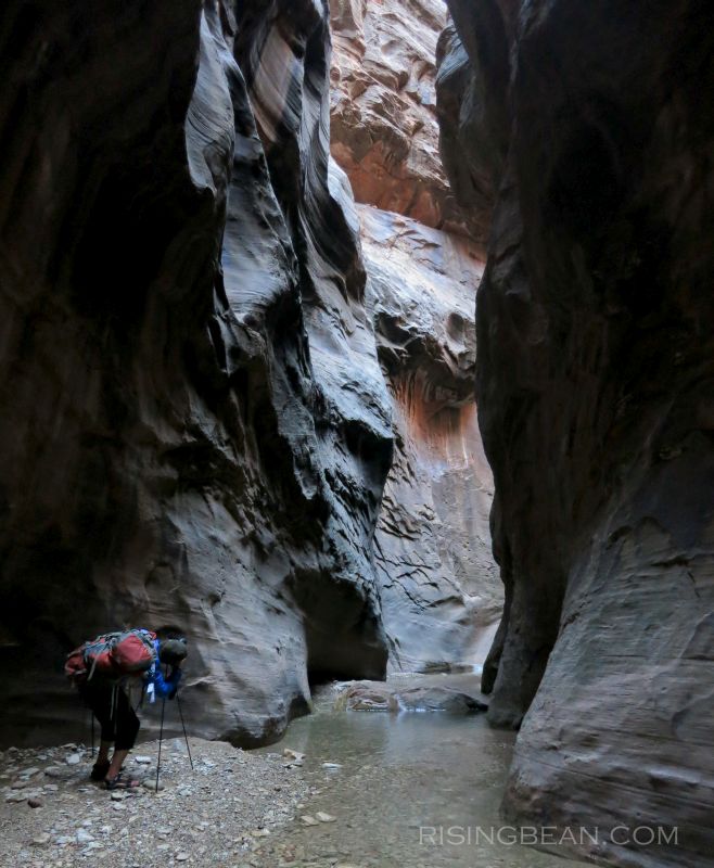 Zion Narrrows Hike
