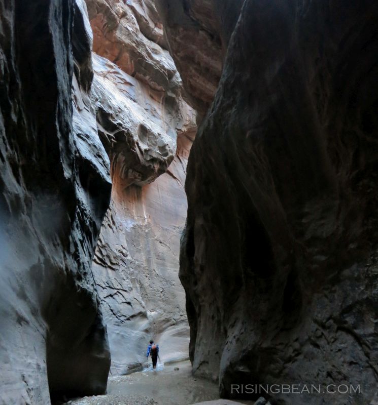Zion Narrrows Hike