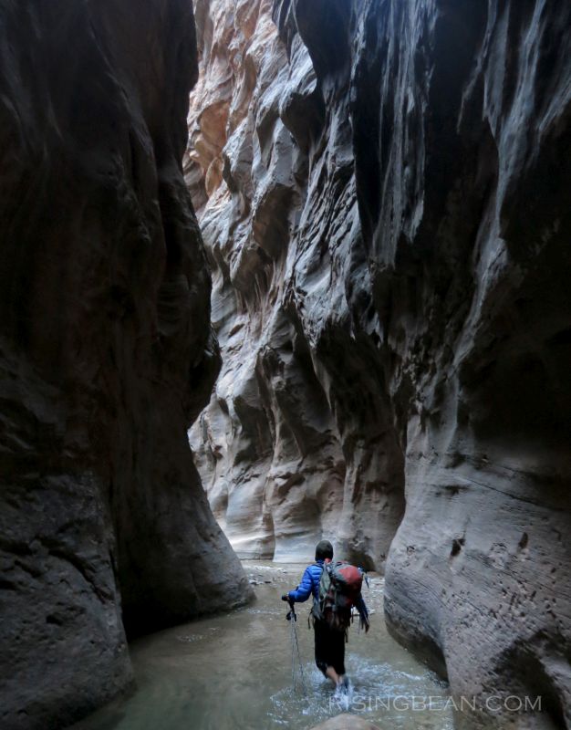 Zion Narrrows Hike