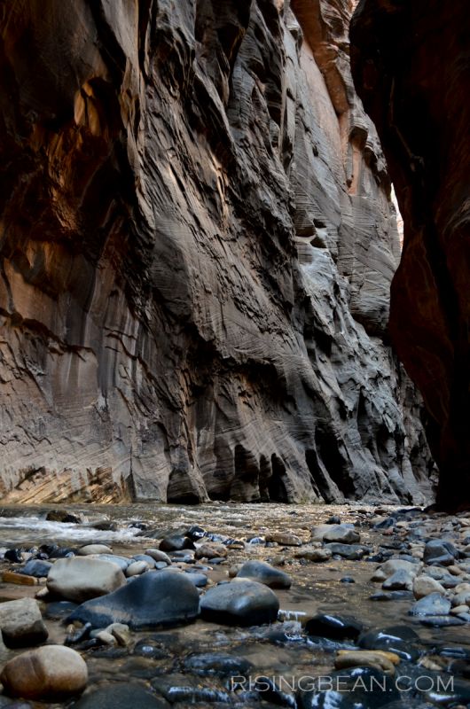 Zion Narrows Orderville