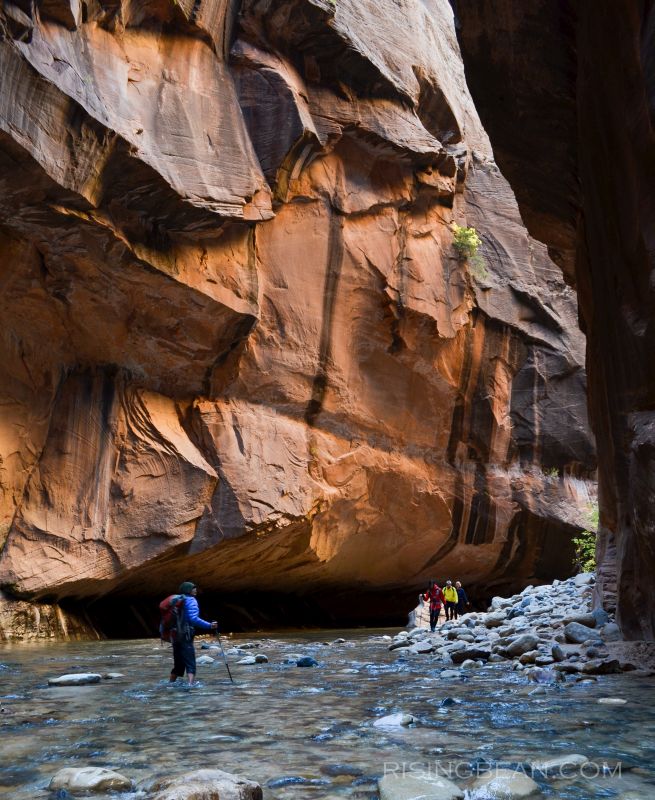 Zion Narrrows Hike