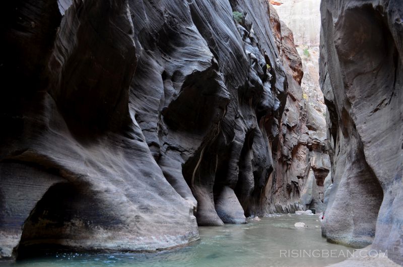 Zion Narrrows Hike