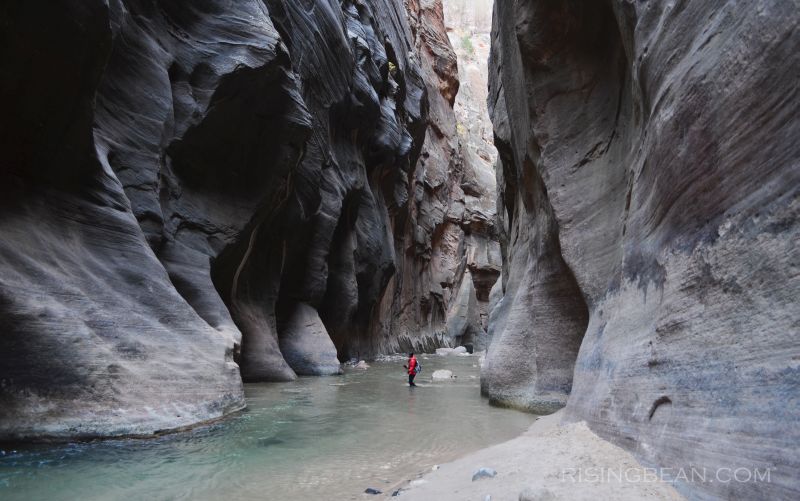 Zion Narrrows Hike