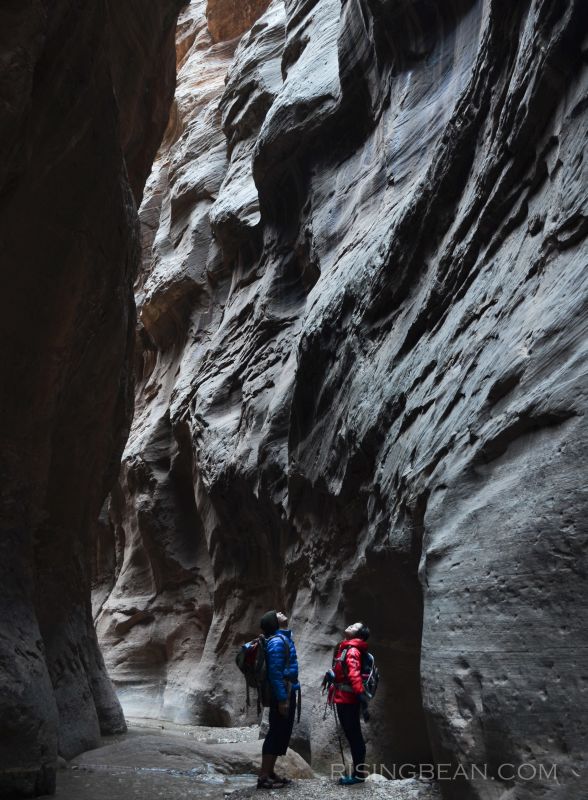 Zion Narrrows Hike