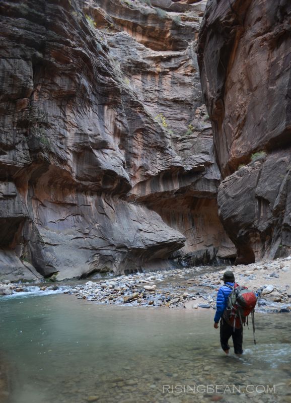 Zion Narrrows Hike